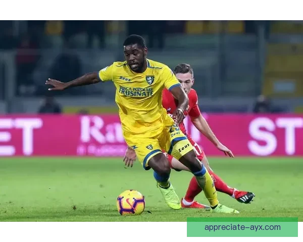 弗罗西诺内俱乐部崛起之路与意甲征程全景解析及未来发展战略展望