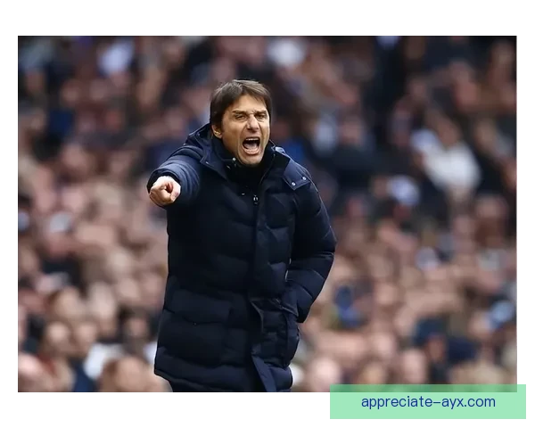 托特纳姆热刺队近期转会动态与新赛季备战进展全面解析